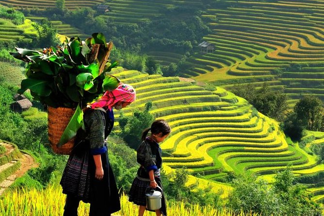 Sapa Trekking Tours - 2 Days 1 Night Stay At Homestay - Why this Sapa trek works in two days