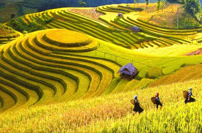 Sapa Trekking Tours - 2 Days 1 Night Stay At Homestay - Is $109 a fair price?