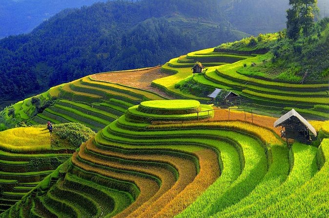 Sapa Trekking Tours - 2 Days 1 Night Stay At Homestay - What I like most about the guides
