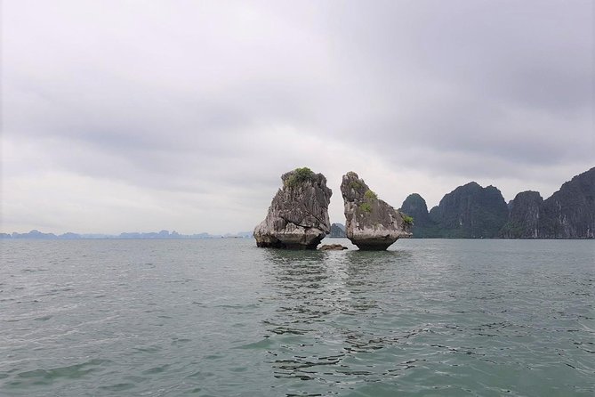 Shore Excursion: Amazing Day Cruise at Ha Long Bay - Guide service can shape the whole day