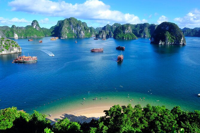Stellar of the Seas Cruise Halong Bay 2Days 1Night on 5 Star Cruise - Is $460 good value for one night?