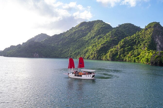 Unique Halong Private Day Cruise - Fishing Village, Kayak - The limousine ride from Hanoi